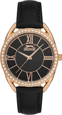 Часы Slazenger SL.09.6538.3.02