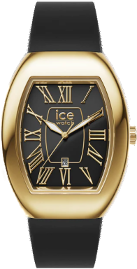 Часы Ice-Watch ICE boliday women dome metal 24048