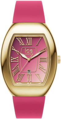 Часы Ice-Watch ICE boliday women dome metal 24050