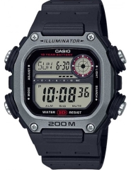 Часы Casio Collection DW-291H-1A